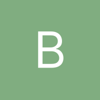 Inkitt profile picture for @bars