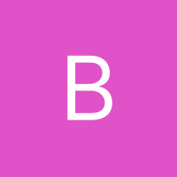 Inkitt profile picture for @bert
