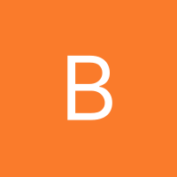 Inkitt profile picture for @bates