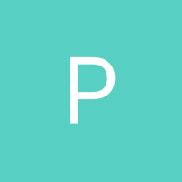 Inkitt profile picture for @precise