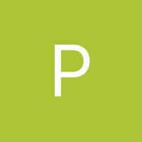Inkitt profile picture for @Pascal